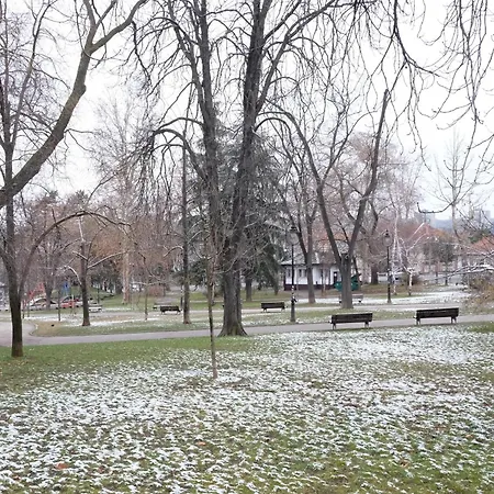 Safari Downtown Appartement