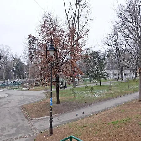 Safari Downtown * Belgrade