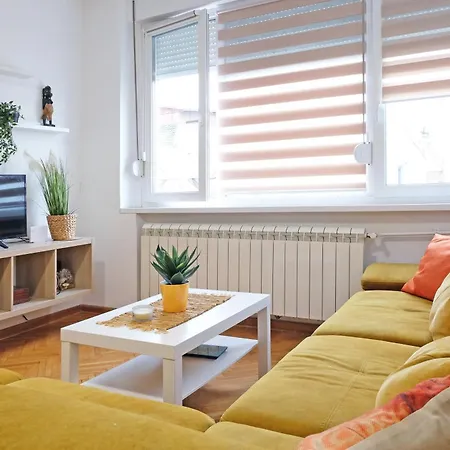 Safari Downtown Belgrade